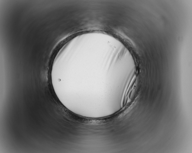 X0000096171166200802151429