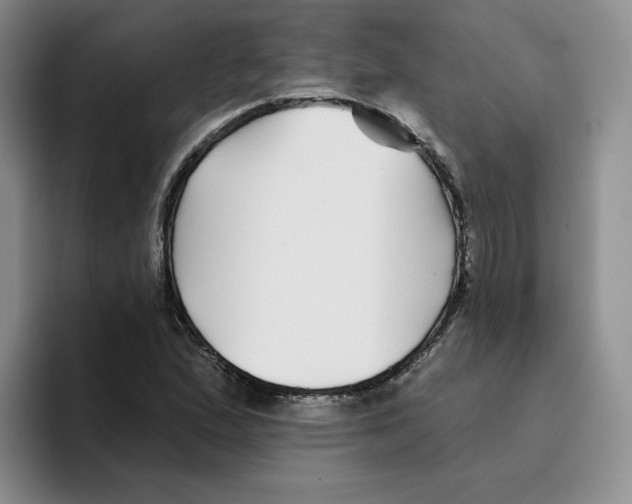 X0000096171167200802151429