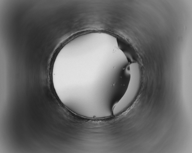 X0000096171168200802151429