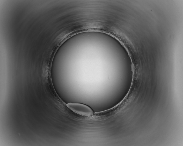 X0000096171169200802151429