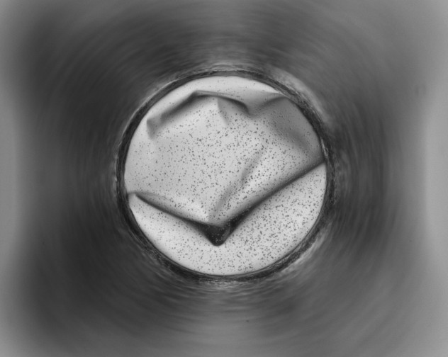 X0000096171170200802151429