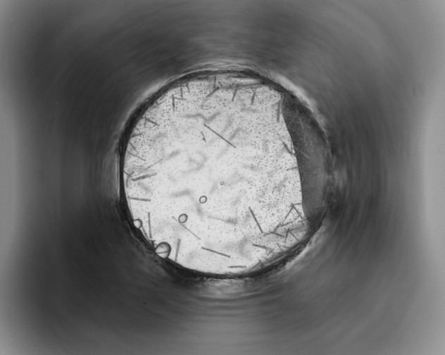 X0000096171171200802151429
