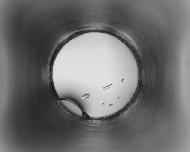 X0000096171172200802151429