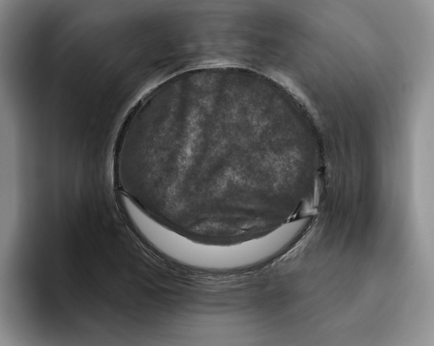 X0000096171173200802151429