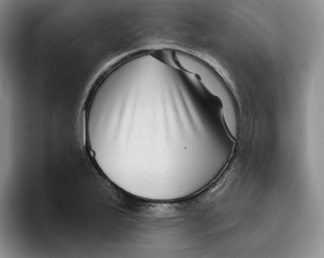 X0000096171175200802151429
