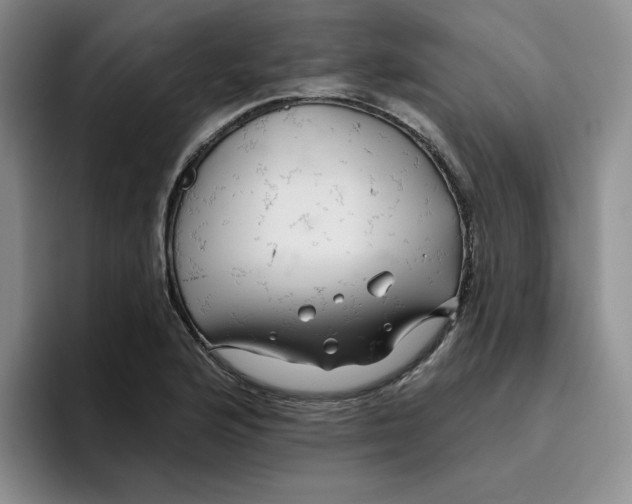 X0000096171176200802151429