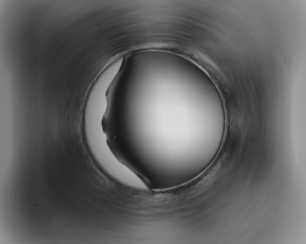 X0000096171177200802151429