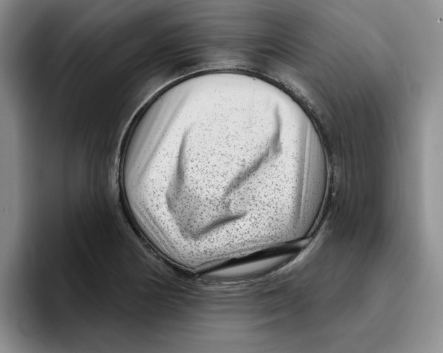 X0000096171178200802151429