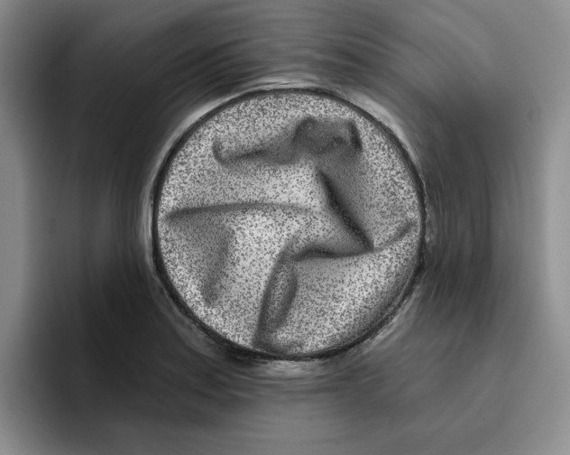 X0000096171179200802151429