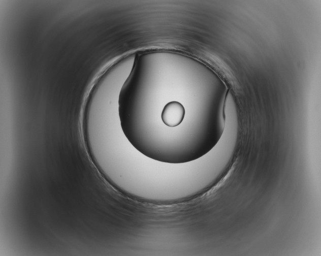 X0000096171180200802151429