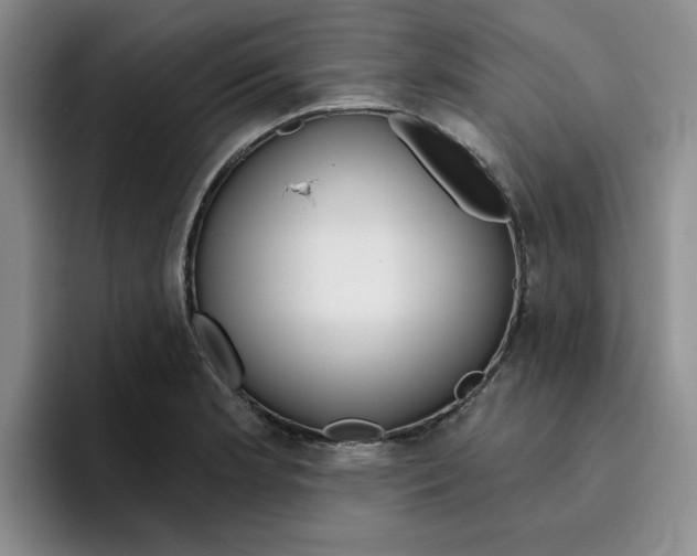 X0000096171181200802151429