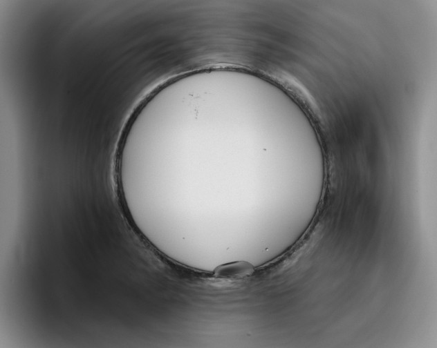 X0000096171182200802151429