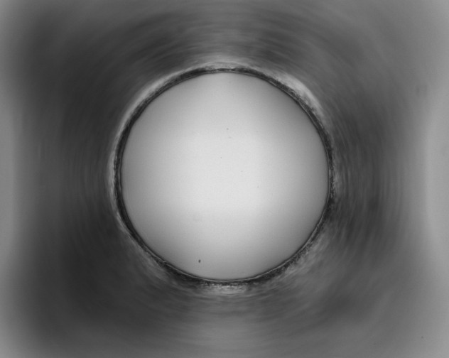 X0000096171183200802151429