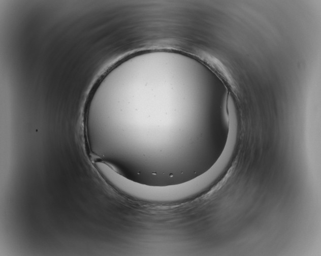 X0000096171184200802151429