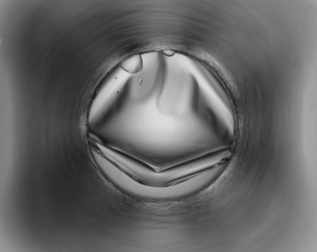 X0000096171185200802151429