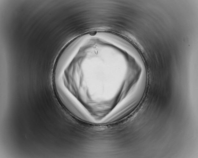 X0000096171186200802151428