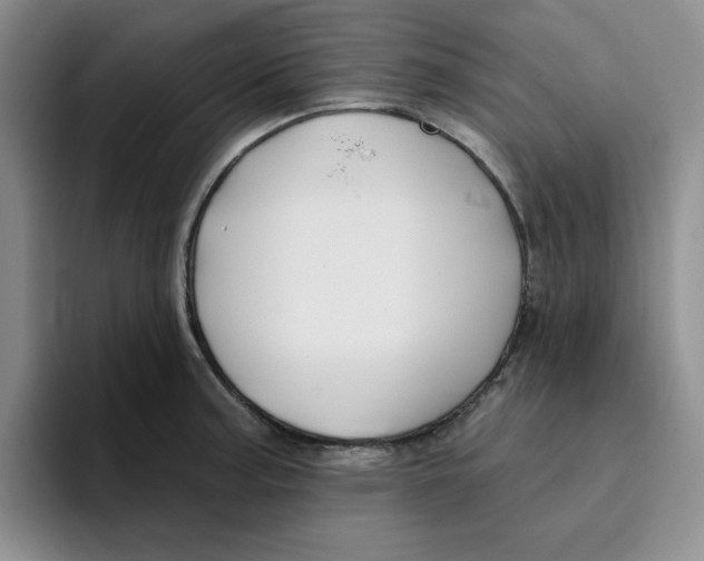 X0000096171187200802151428