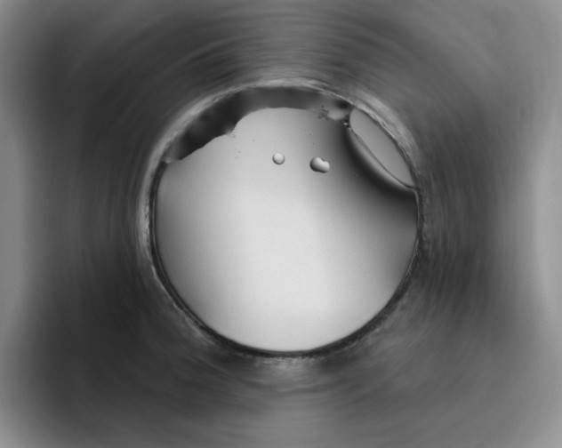 X0000096171188200802151428