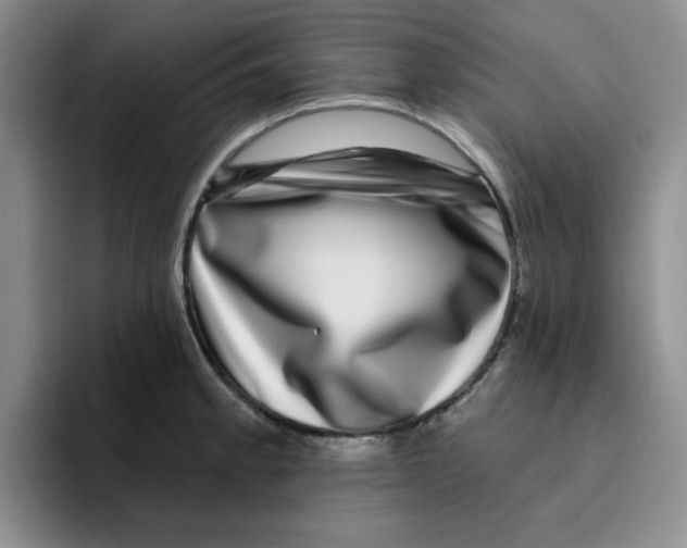 X0000096171189200802151428