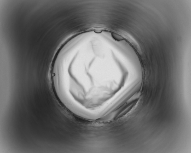 X0000096171190200802151428