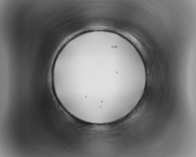X0000096171191200802151428