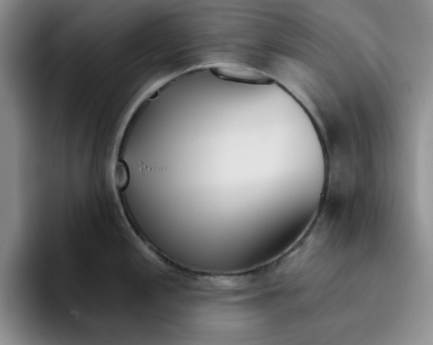 X0000096171197200802151428