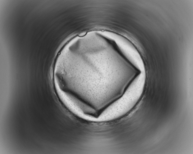 X0000096171198200802151428