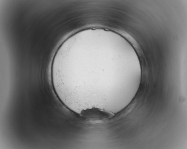 X0000096171199200802151428