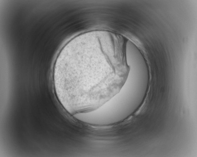 X0000096171200200802151428