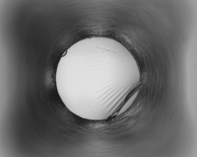 X0000096171202200802151428