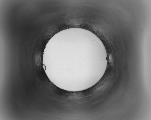 X0000096171203200802151428