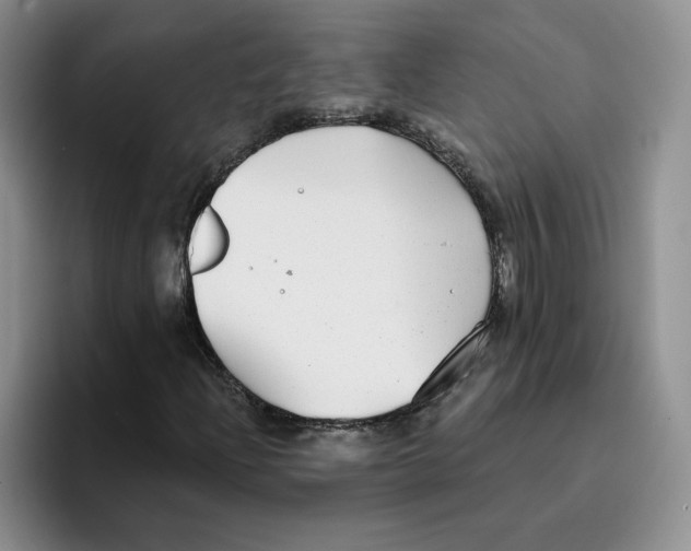 X0000096171204200802151428