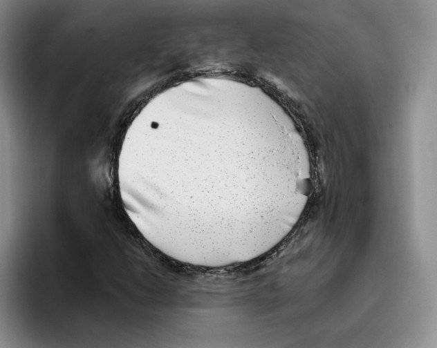 X0000096171206200802151428