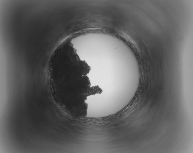 X0000096171208200802151428