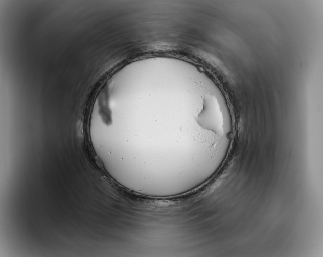 X0000096171209200802151428