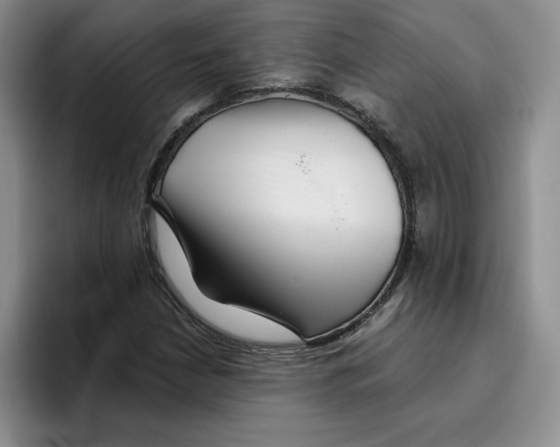 X0000096171210200802151428