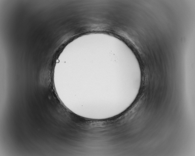 X0000096171211200802151428