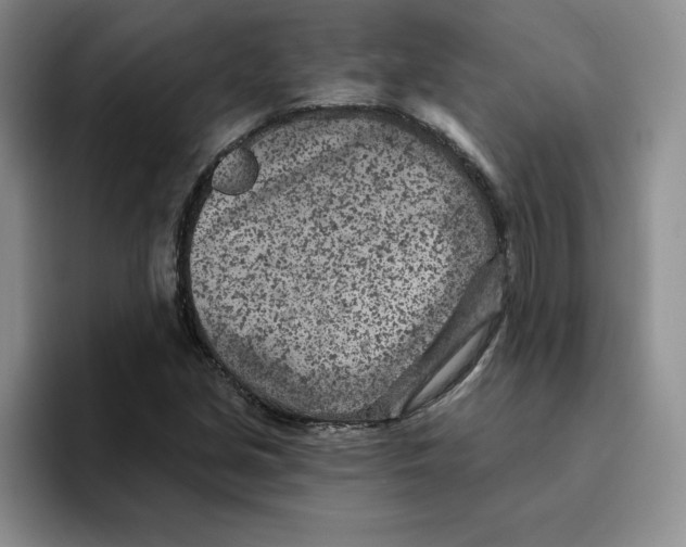 X0000096171213200802151428