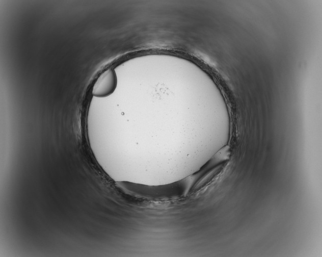 X0000096171214200802151428