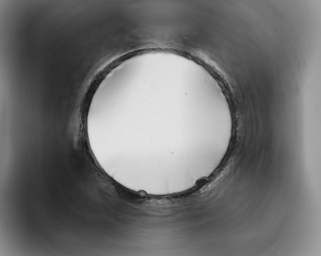 X0000096171215200802151428