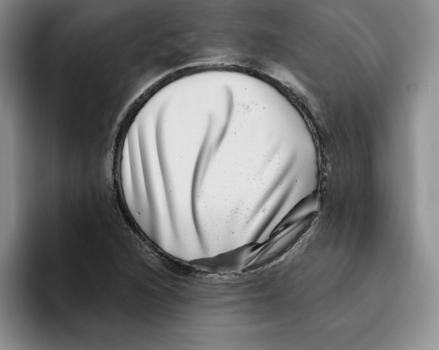 X0000096171216200802151428