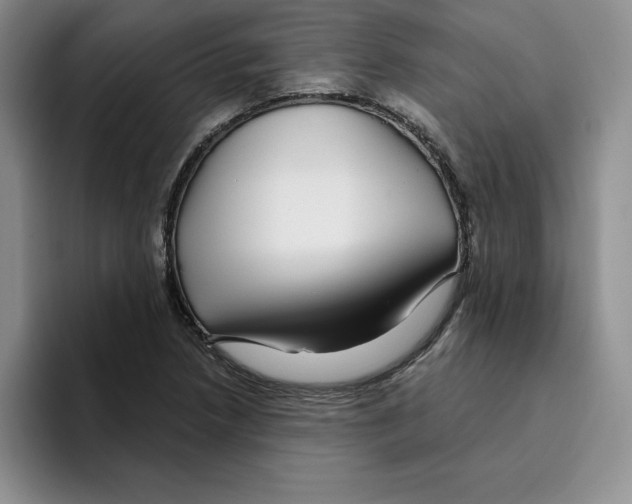 X0000096171218200802151428