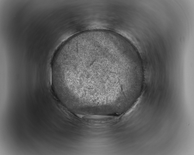 X0000096171219200802151428