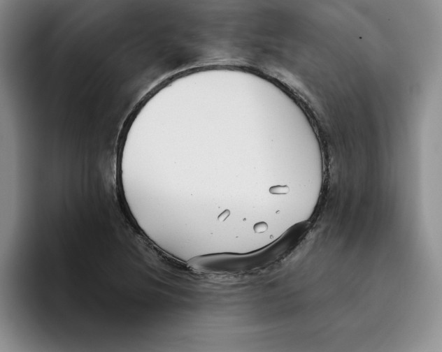 X0000096171220200802151428