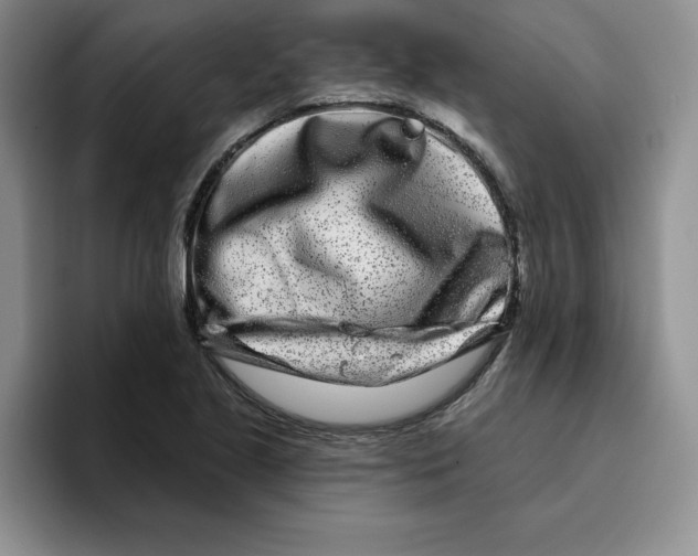 X0000096171221200802151428