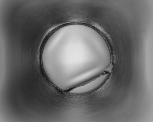 X0000096171222200802151428