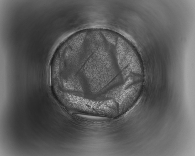 X0000096171223200802151428