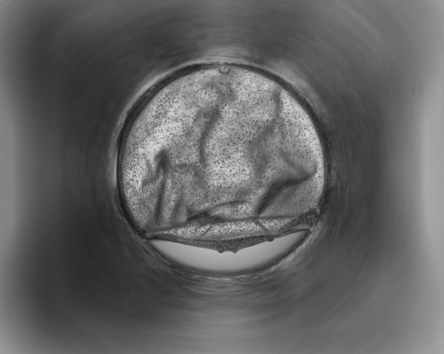 X0000096171224200802151428