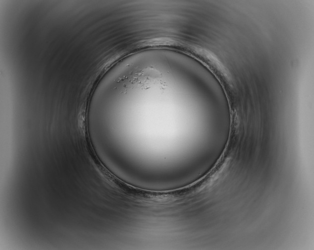 X0000096171225200802151428