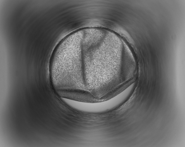 X0000096171226200802151428